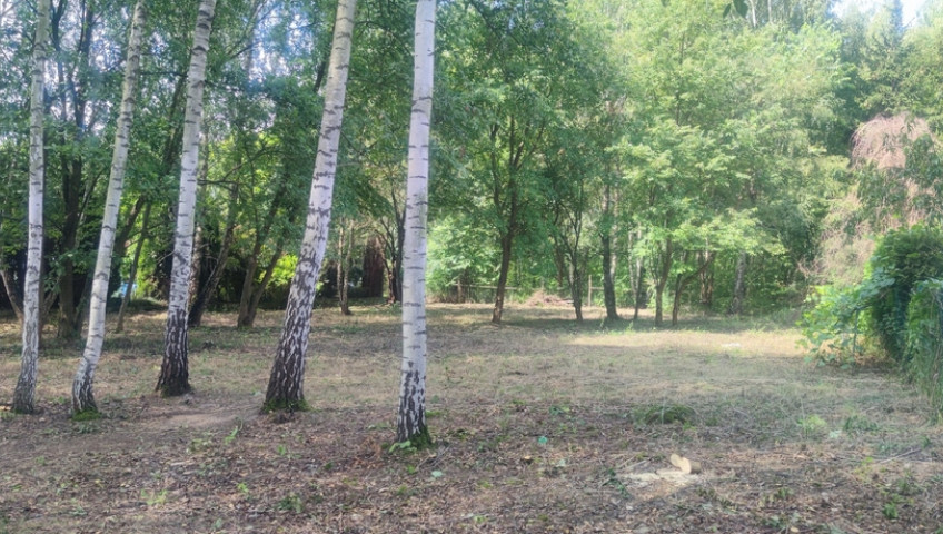 Działka Sprzedaż Borzęcin Duży Spacerowa